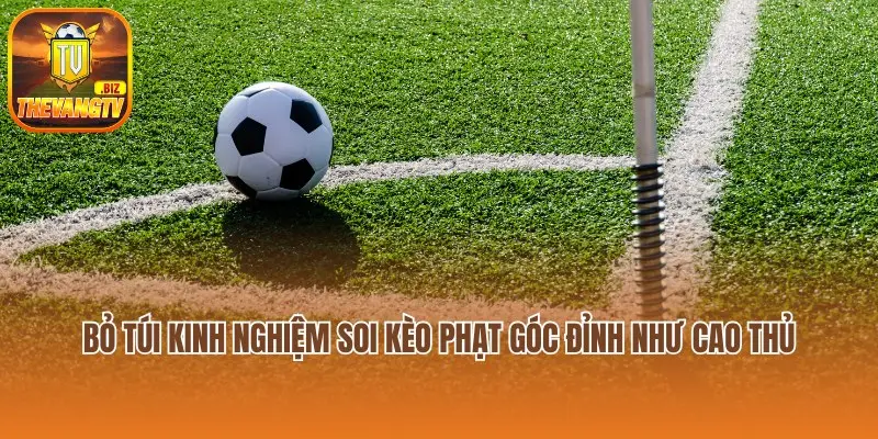 Bỏ Túi Kinh Nghiệm Soi Kèo Phạt Góc Đỉnh Như Cao Thủ