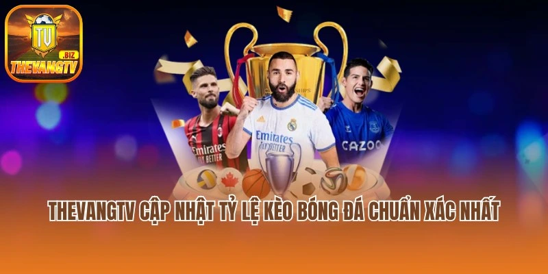 Thevangtv cập nhật tỷ lệ kèo bóng đá chuẩn xác nhất