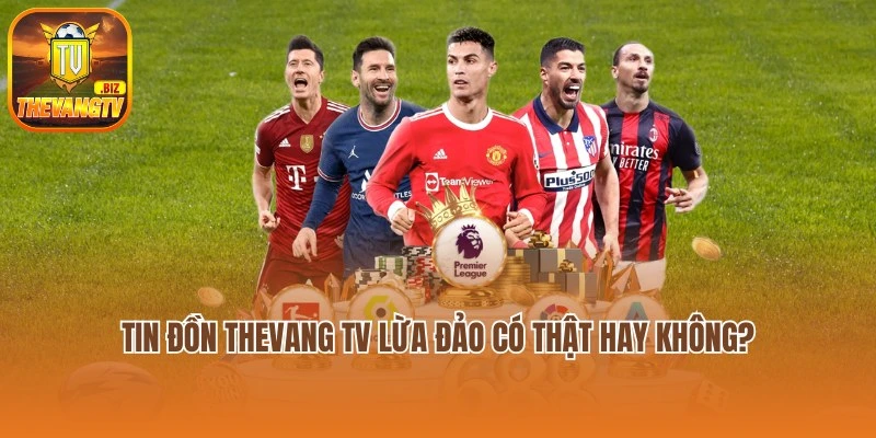 Tin Đồn Thevang Tv Lừa Đảo Có Thật Hay Không?