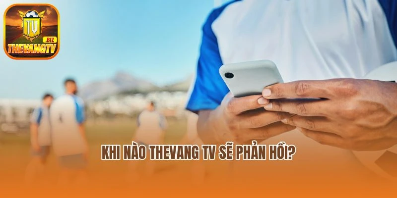 Khi nào Thevang TV sẽ phản hồi?
