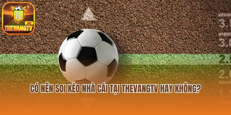Có nên soi kèo nhà cái tại Thevangtv hay không?