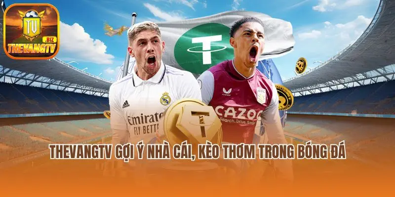 Thevangtv gợi ý nhà cái, kèo thơm trong bóng đá