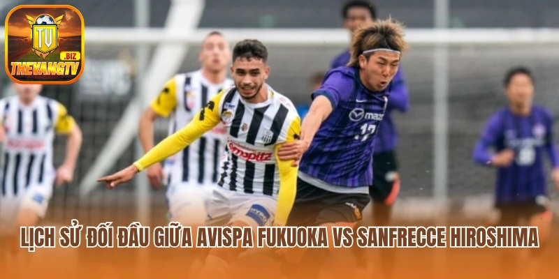 Lịch sử đối đầu Avispa Fukuoka vs Sanfrecce Hiroshima