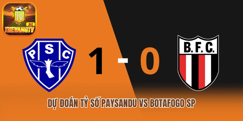 Dự đoán tỷ số Paysandu vs Botafogo SP