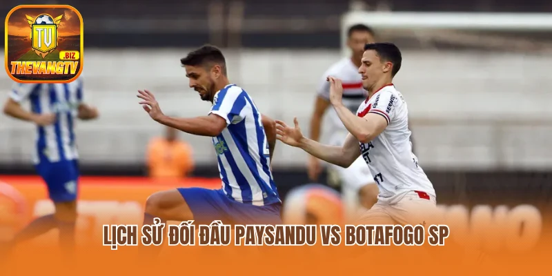 Lịch sử đối đầu Paysandu vs Botafogo SP